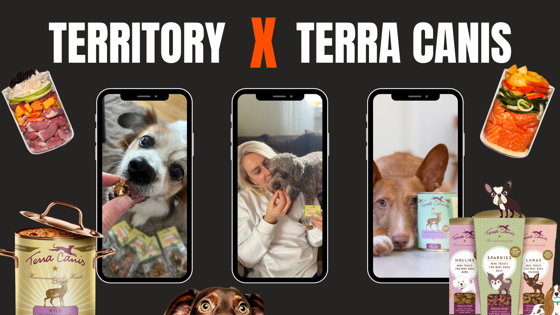 Terra Canis x TERRITORY