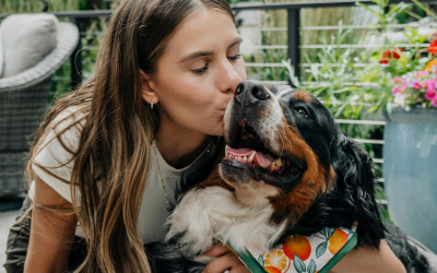 The Rise Of Pet Influencers: Trends, Tips And Cases